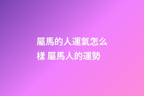 屬馬的人運氣怎么樣 屬馬人的運勢-第1張-觀點-玄機派
